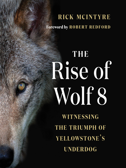 Title details for The Rise of Wolf 8 by Rick McIntyre - Available